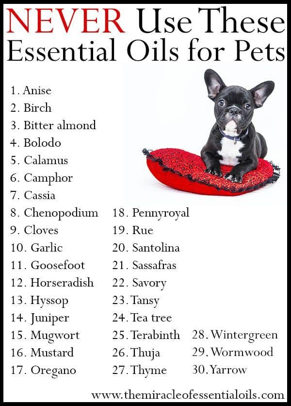 DANGERS OF ESSENTIAL OILS TO DOGS