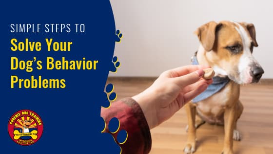 Simple Steps to Solve Your Dog’s Behavior Problems