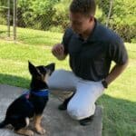 Phoenix Dog Trainer Jordan Marsteller teaching a German Shepherd Puppy to Sit
