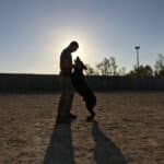 phoeix dog trainer jordan marsteller