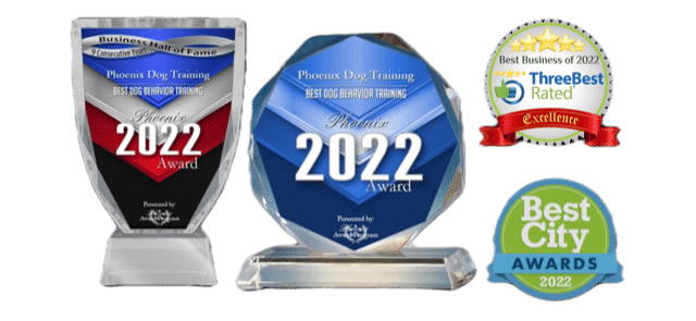 2022 Award for Best Dog Trainer in Phoenix Az