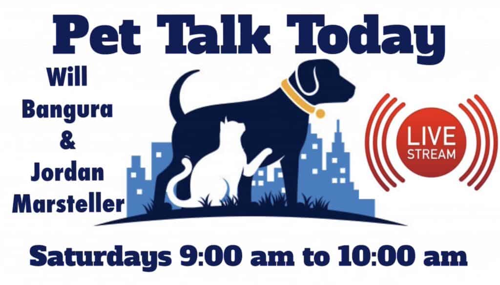Pet Talk Today