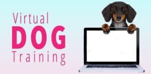 Virtual or In-Home Dog Training