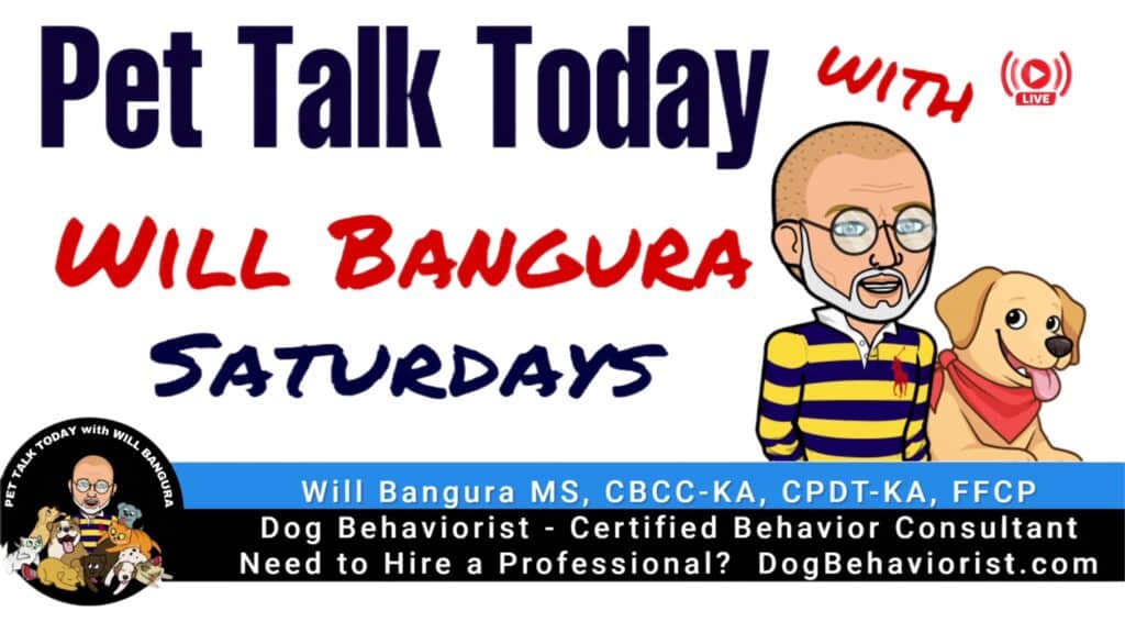 Pet Talk Today With Dog Behaviorist Will Bangura