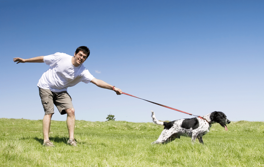 10 Simple Steps to Master Dog Leash Training