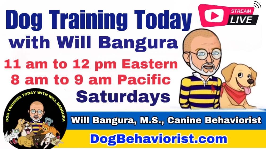 Dog Training Today with Will Bangura Dog Behaviorist Podcast