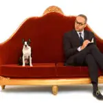 Experienced dog behaviorist conducting a session with a dog on a couch in Phoenix, AZ.