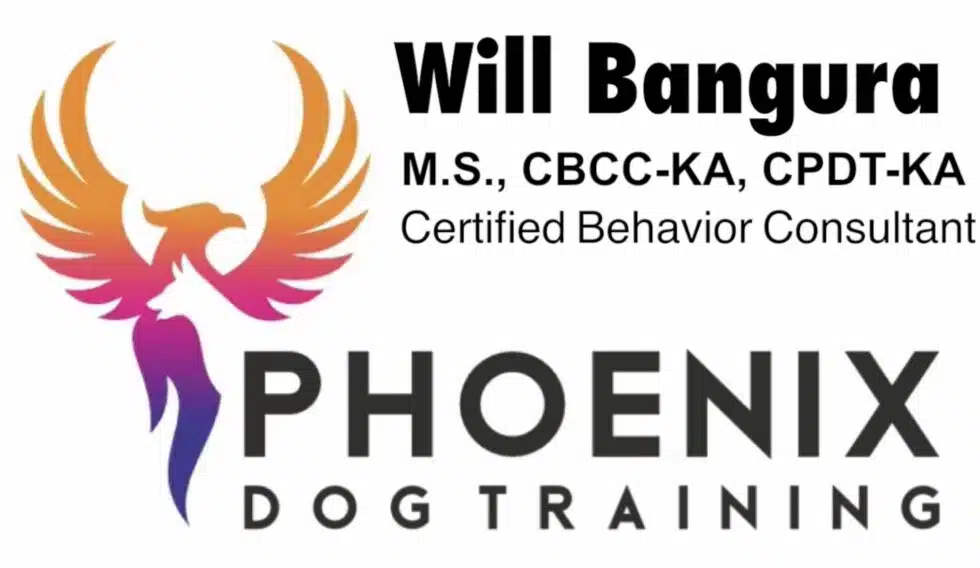Dog Trainer in Phoenix, Az, Will Bangura is also a Dog Behaviorist