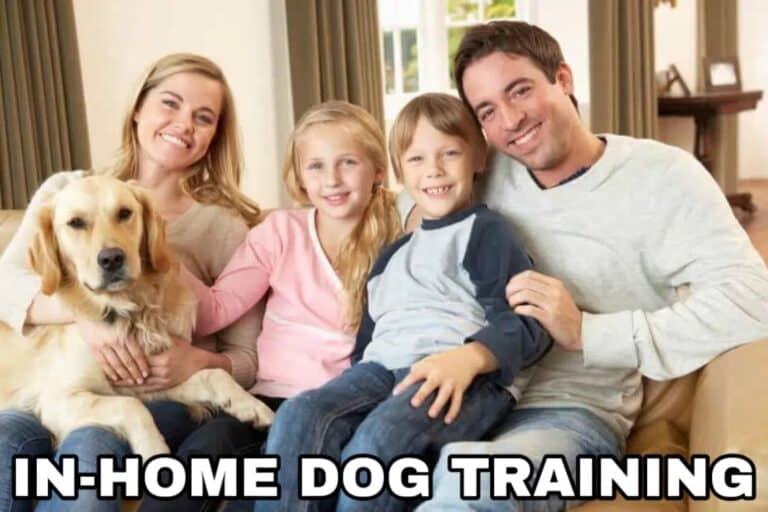 In-Home Dog Training in Phoenix Az