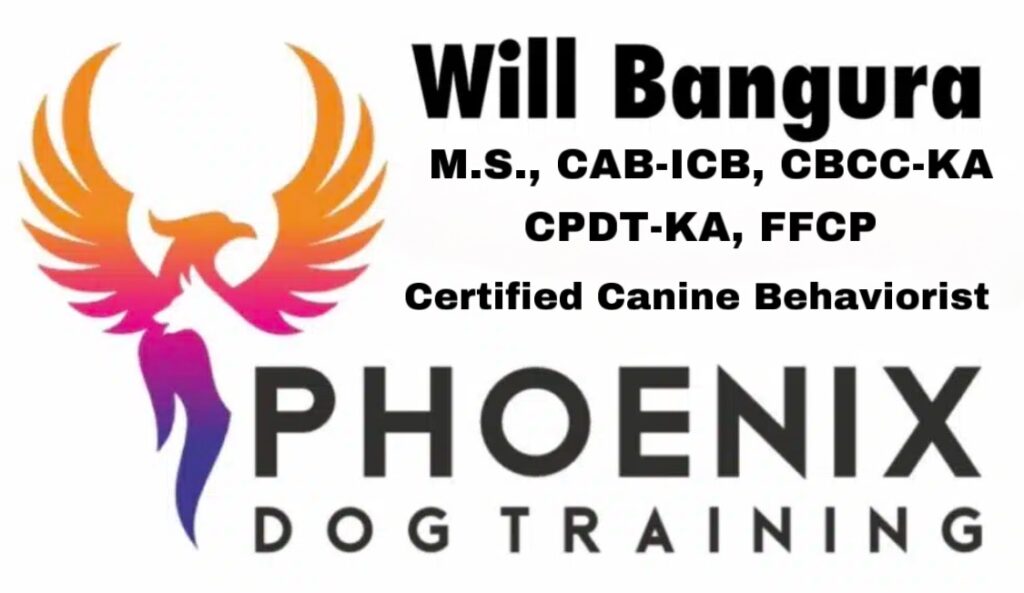 Phoenix Dog Training Certified Canine Behaviorist Will Bangura, CAB-ICB, CBCC-KA, CPDT-KA, FFCP