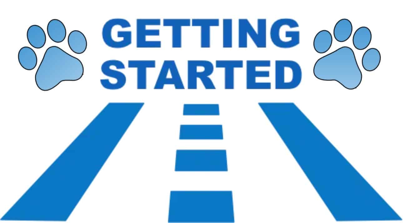 Getting Started graphic with paw prints and a pathway, representing the beginning of a dog behavior consultation with certified behaviorist Will Bangura at Phoenix Dog Training.