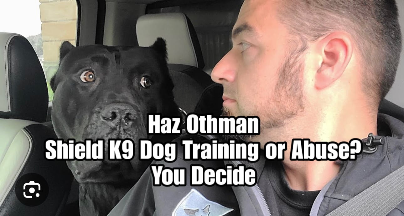A man sitting in a car beside a Cane Corso dog, looking at each other closely, with overlaid text reading “Haz Othman Shield K9 Dog Training or Abuse? You Decide.”