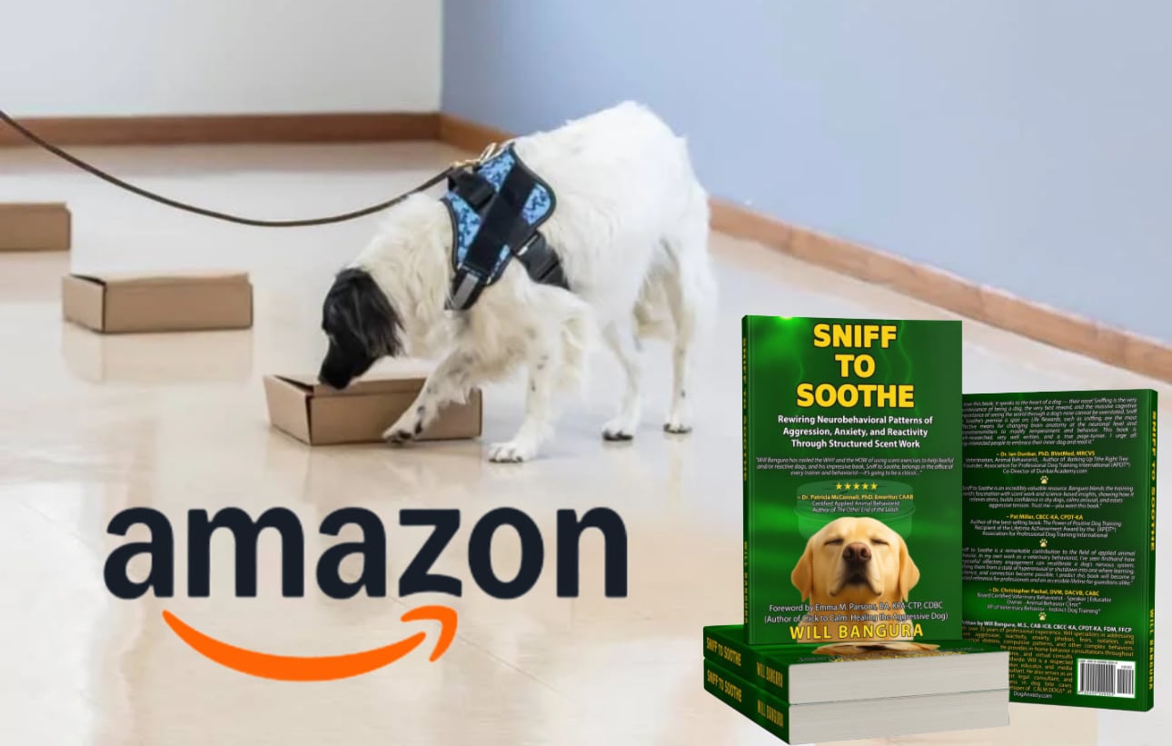 Dog wearing a harness sniffing boxes during a scent-work training session, symbolizing calm focus and enrichment. Next to the dog is the book “Sniff to Soothe” by canine behaviorist Will Bangura, shown with the Amazon logo, promoting the evidence-based guide to reducing aggression, anxiety, and reactivity through structured scent work.