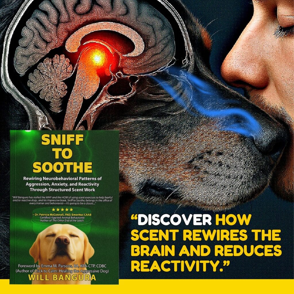 Illustration showing how scent activates the canine brain beside the cover of Will Bangura’s book Sniff to Soothe, highlighting how structured scent work rewires neurobehavioral patterns and reduces anxiety, fear, and reactivity in dogs.