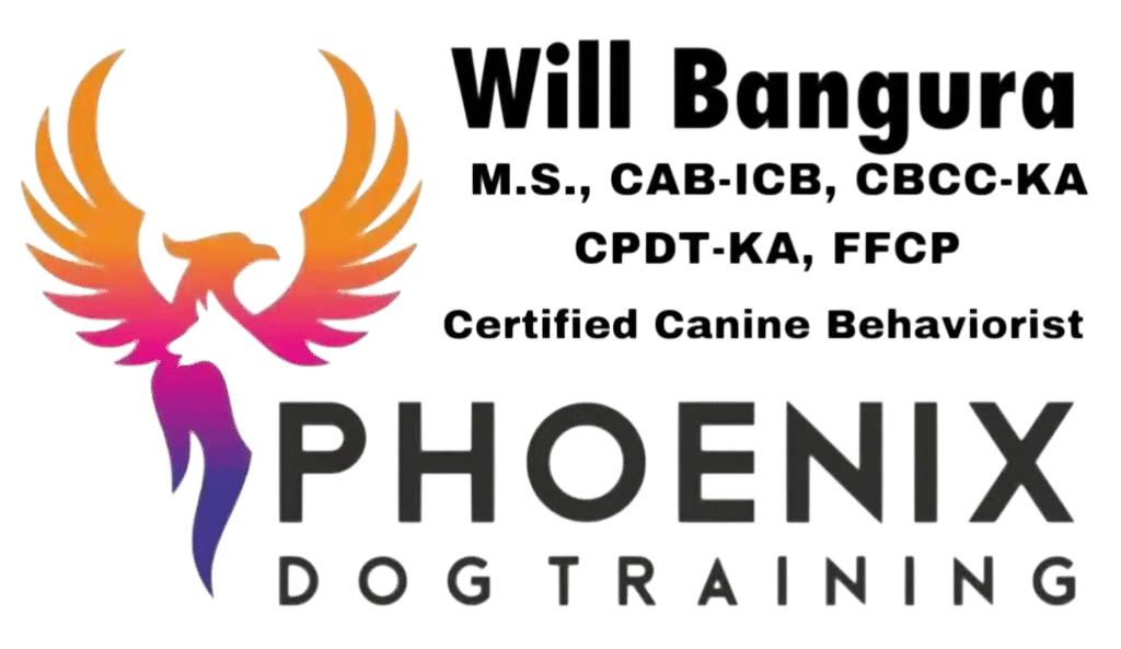 Will Bangura M.S., CAB-ICB, CBCC-KA, CPDT-KA, FFCP, Certified Canine Behaviorist and founder of Phoenix Dog Training in Phoenix Arizona