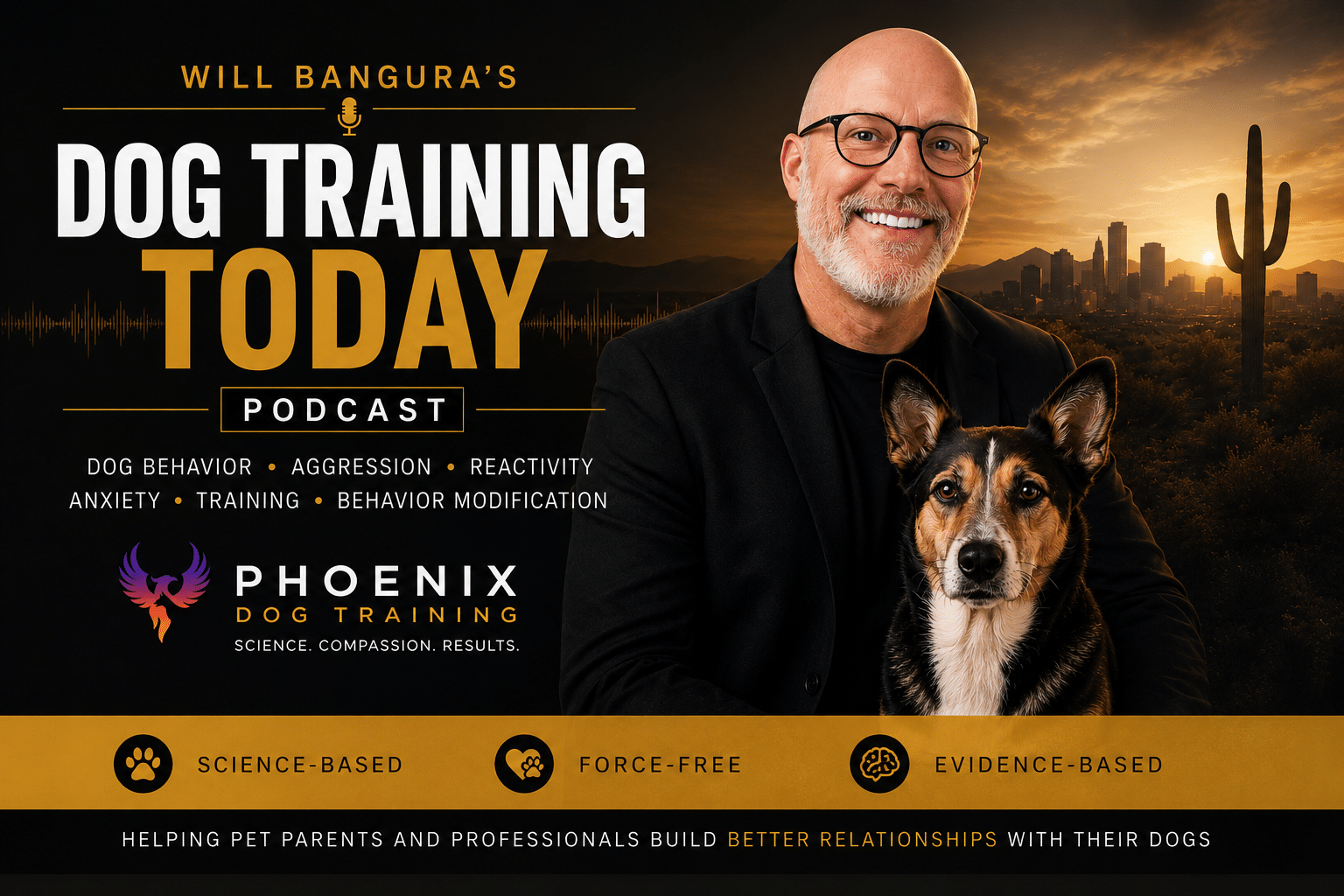 Will Bangura&rsquo;s Dog Training Today podcast banner featuring certified dog behaviorist Will Bangura, a calm dog, Phoenix skyline, and science-based dog training branding.