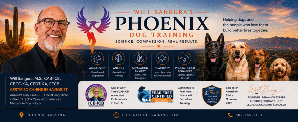 Will Bangura, certified canine behaviorist and founder of Phoenix Dog Training, with dogs and Phoenix-inspired branding representing evidence-based dog aggression, anxiety, and reactivity training in Phoenix, Arizona.