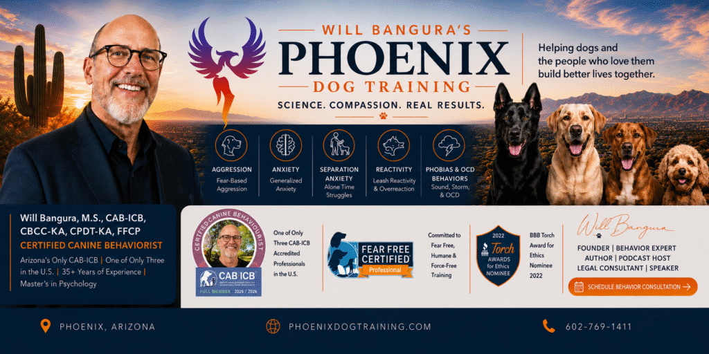 Will Bangura certified canine behaviorist and founder of Phoenix Dog Training with dogs representing aggression anxiety separation anxiety reactivity and phobia behavior services in Phoenix Arizona