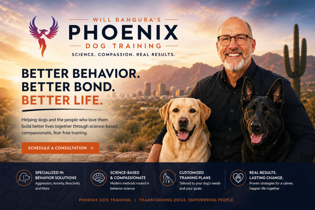 Will Bangura, M.S., CAB-ICB, Certified Canine Behaviorist and founder of Will Bangura’s Phoenix Dog Training, with dogs in Phoenix, Arizona, specializing in aggression, anxiety, reactivity, and science-based force-free dog training.