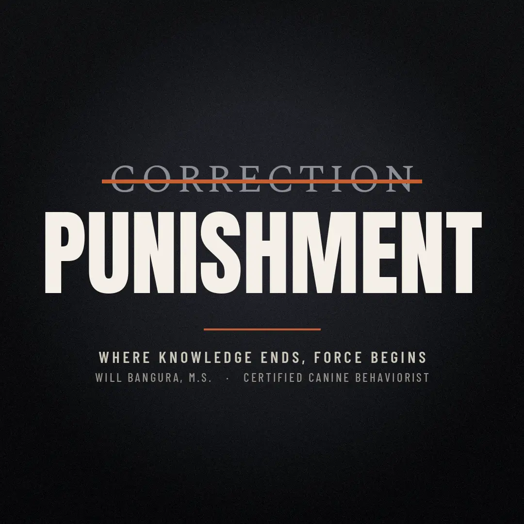 The word correction crossed out to reveal punishment, showing that dog training corrections are punishment