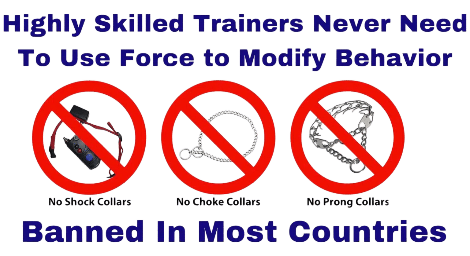 Humane, Science-Based Dog Aggression Training in Phoenix
