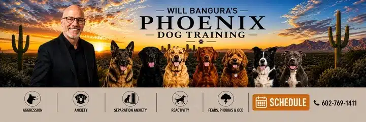 Will Bangura Phoenix Dog Training Schedule a Consultation 602-769-1411
