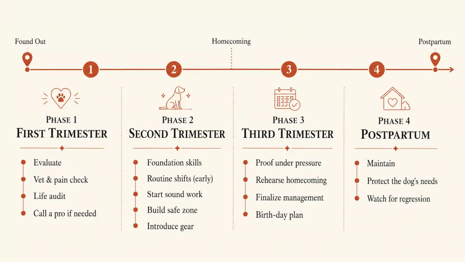 Horizontal timeline from finding out through postpartum, showing what to do each trimester to prepare a dog for a baby, from evaluation to proofing skills to homecoming
