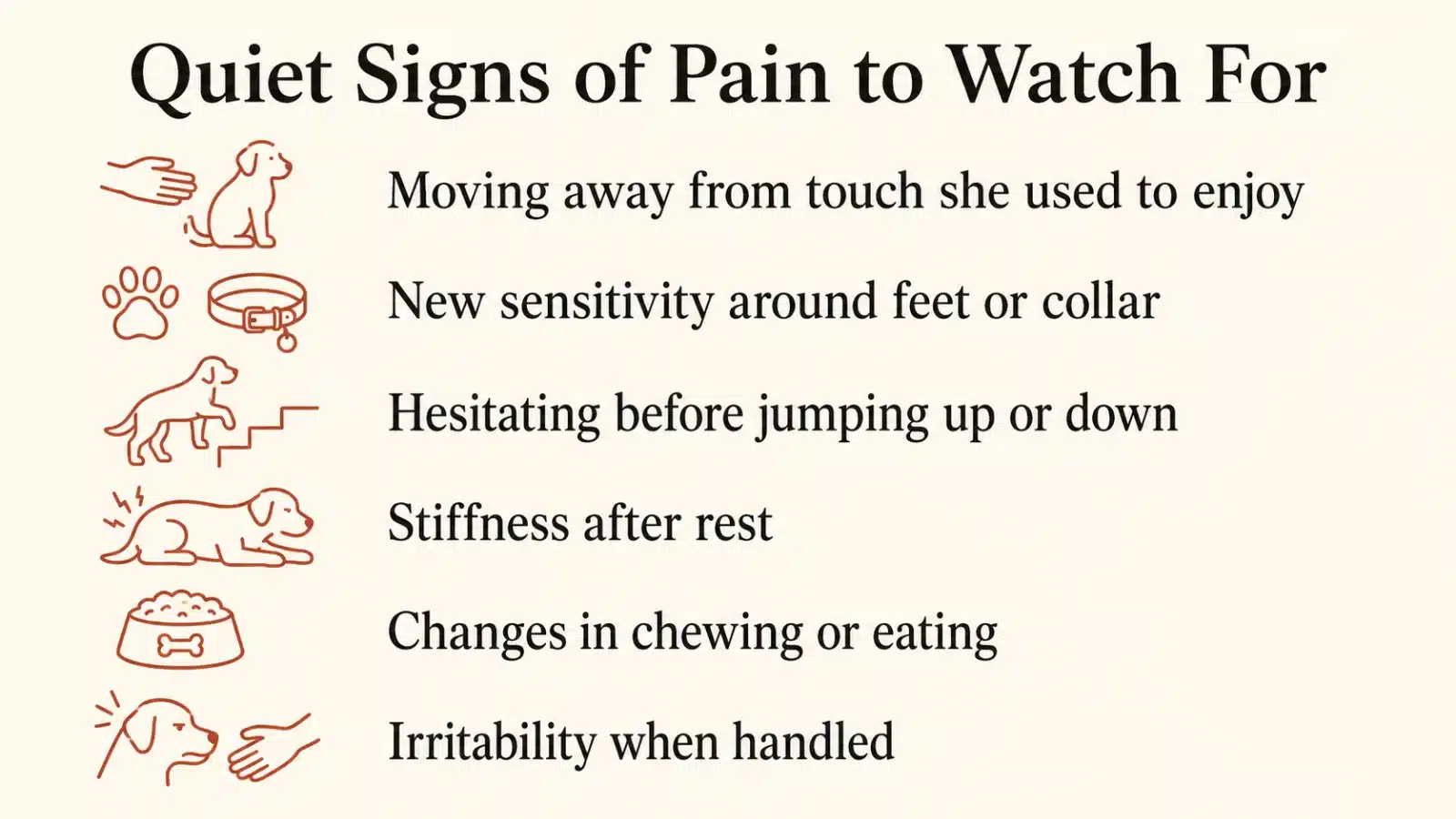 Checklist of quiet signs of pain in dogs, including moving away from touch, new sensitivity, stiffness after rest, and irritability when handled