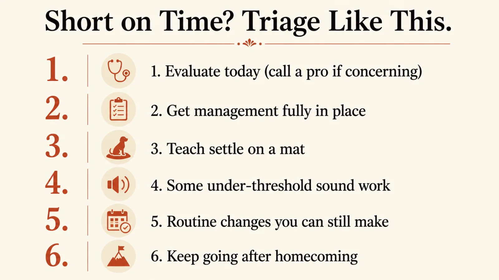 A numbered triage priority list for pet parents short on time, ranking evaluation, management, settle training, sound work, routine changes, and continuing after homecoming