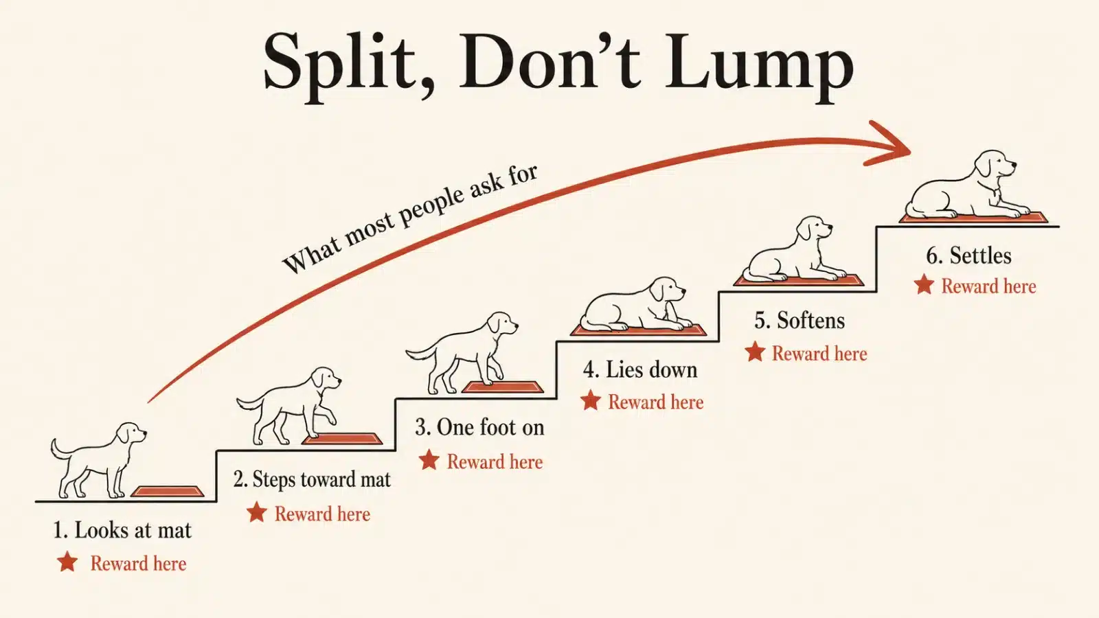Training diagram contrasting a staircase of small rewarded steps toward settling on a mat with one impossible leap labeled what most people ask for